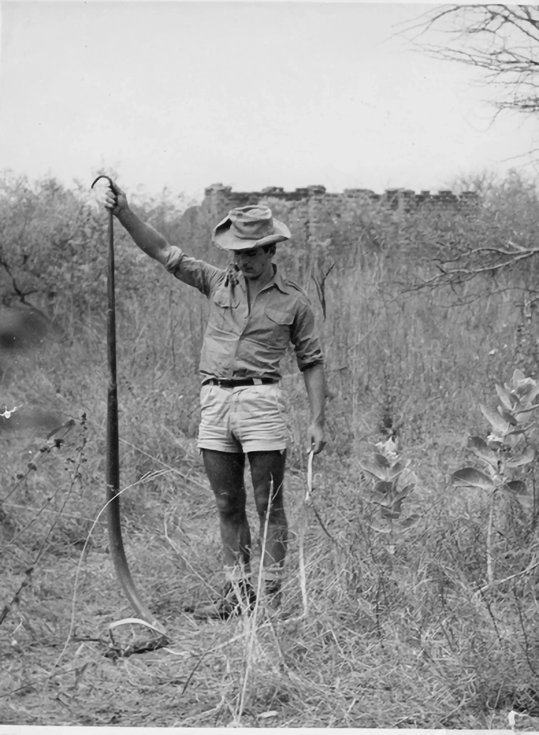 N1-coloriage originale copie